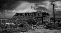 Mountain Lions
